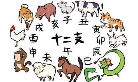 十二生肖猴|申猴（十二地支与十二生肖的形象化代表）